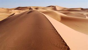 شنهای رونده در دل کویر